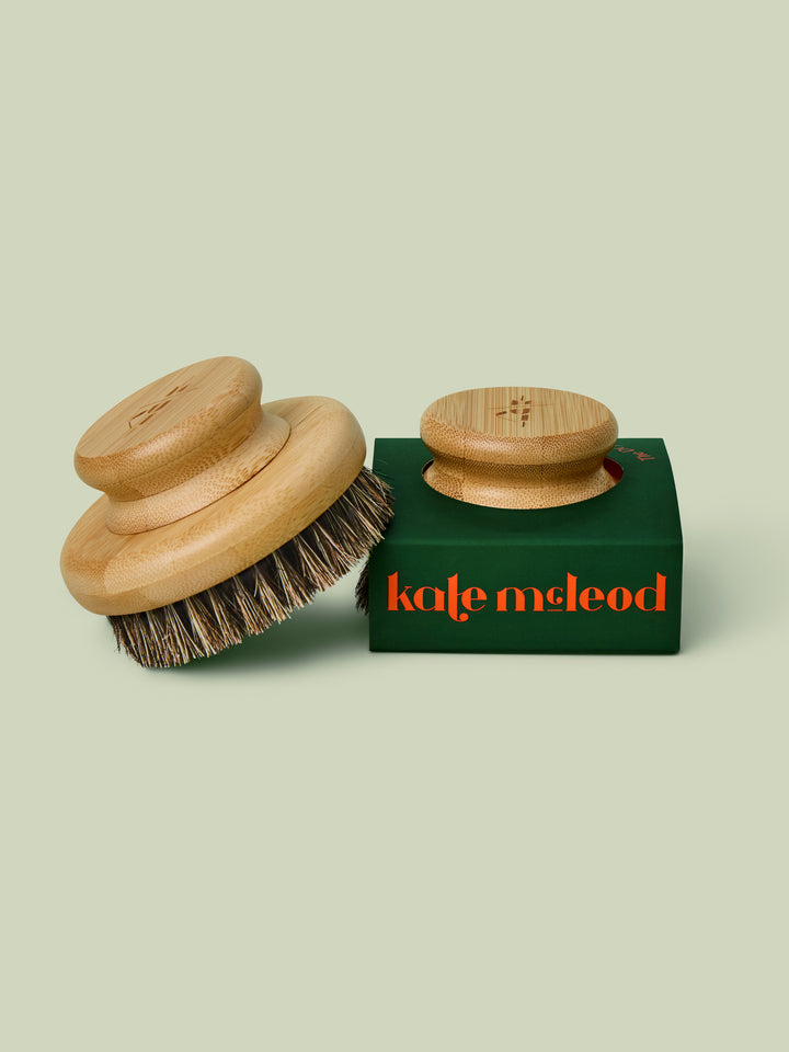 Two Dry Brushes propped up against a light green background.