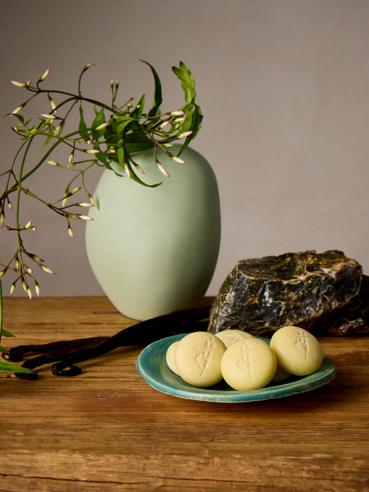 Amber & Vanilla Pebbles on a blue plate surrounded by vanilla and amber ingredients with a green vase and plant in the background.