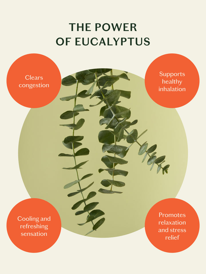 The Breathe Easy Set