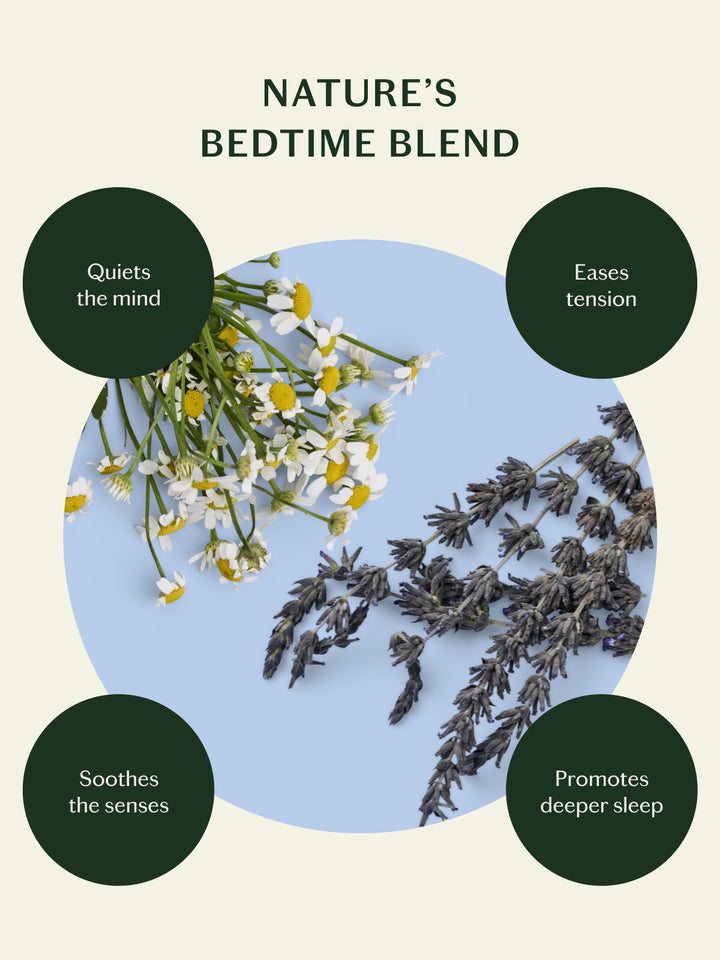 The Sleep Routine Set