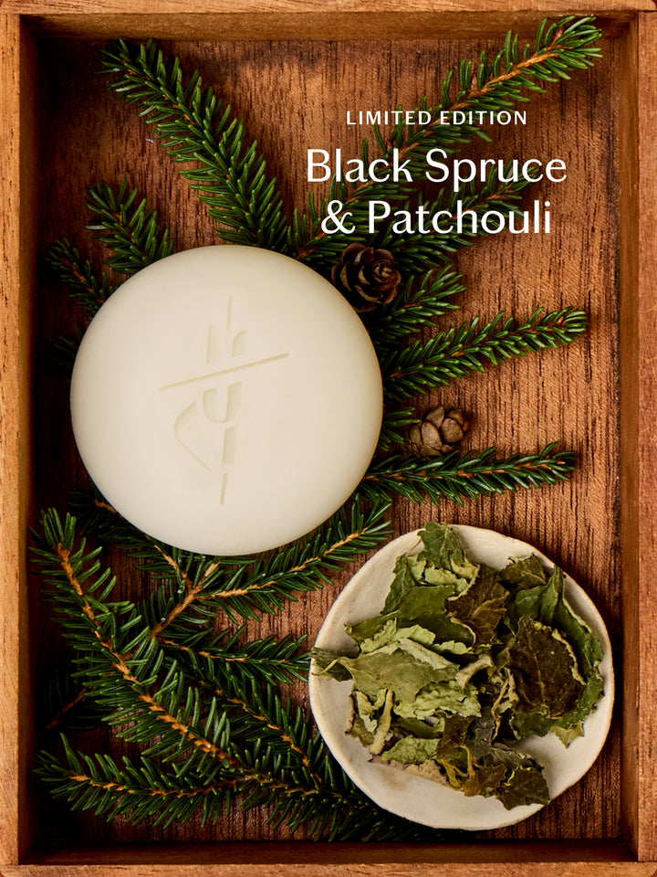 Black Spruce & Patchouli | Deep Moisturizing Lotion Bar