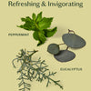 The Winter Wellness Set