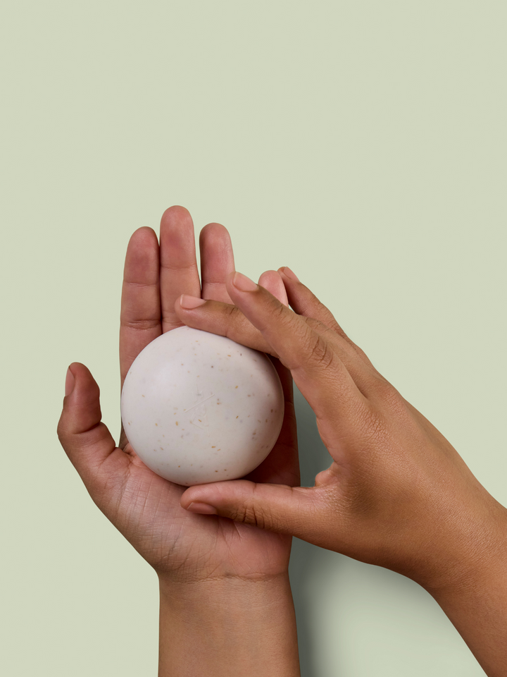 The Travel Case | Mini