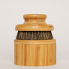 The Dry Brush