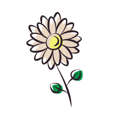 Chamomile