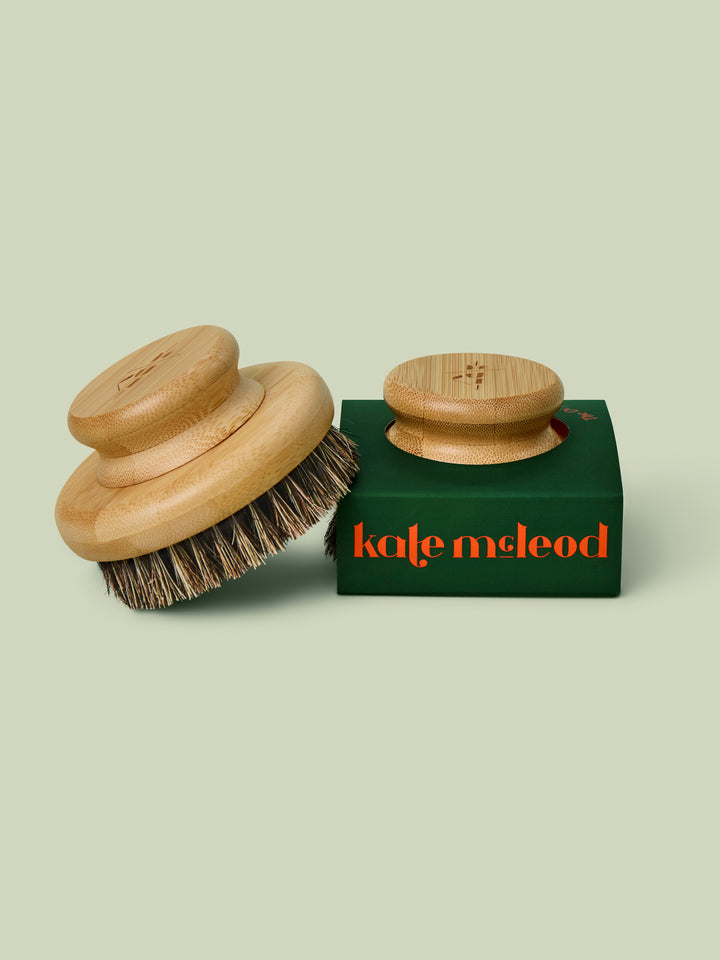 Two Dry Brushes propped up against a light green background.