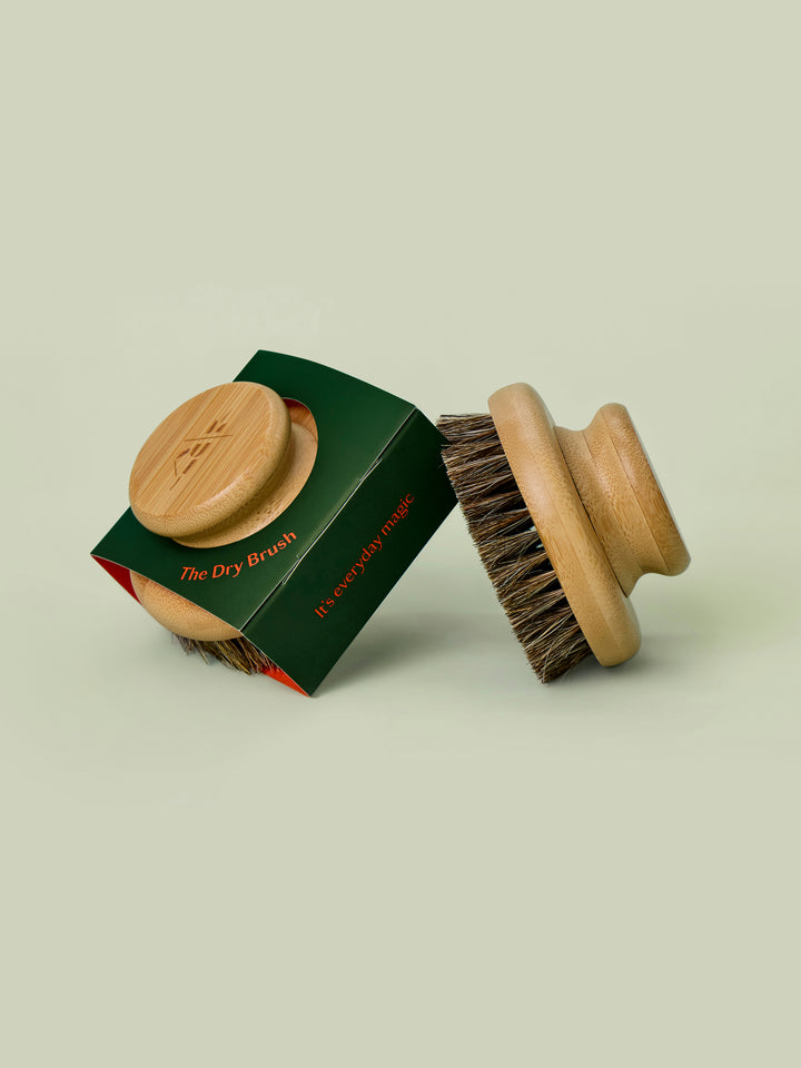 Two Dry Brushes propped up against a light green background.