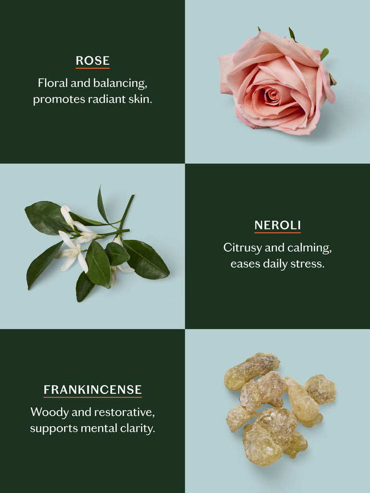 Daily Stone | Deep Moisturizing Lotion Bar