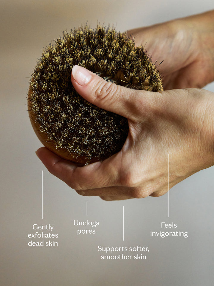 Hand holding the dry brush with text describing its benefits on a neutral background.