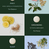 The Scent Discovery Set