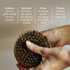 Hand holding the dry brush with text describing its benefits on a neutral background.
