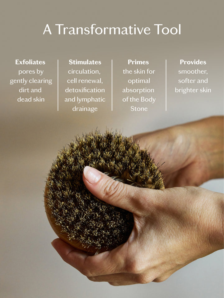 Hand holding the dry brush with text describing its benefits on a neutral background.