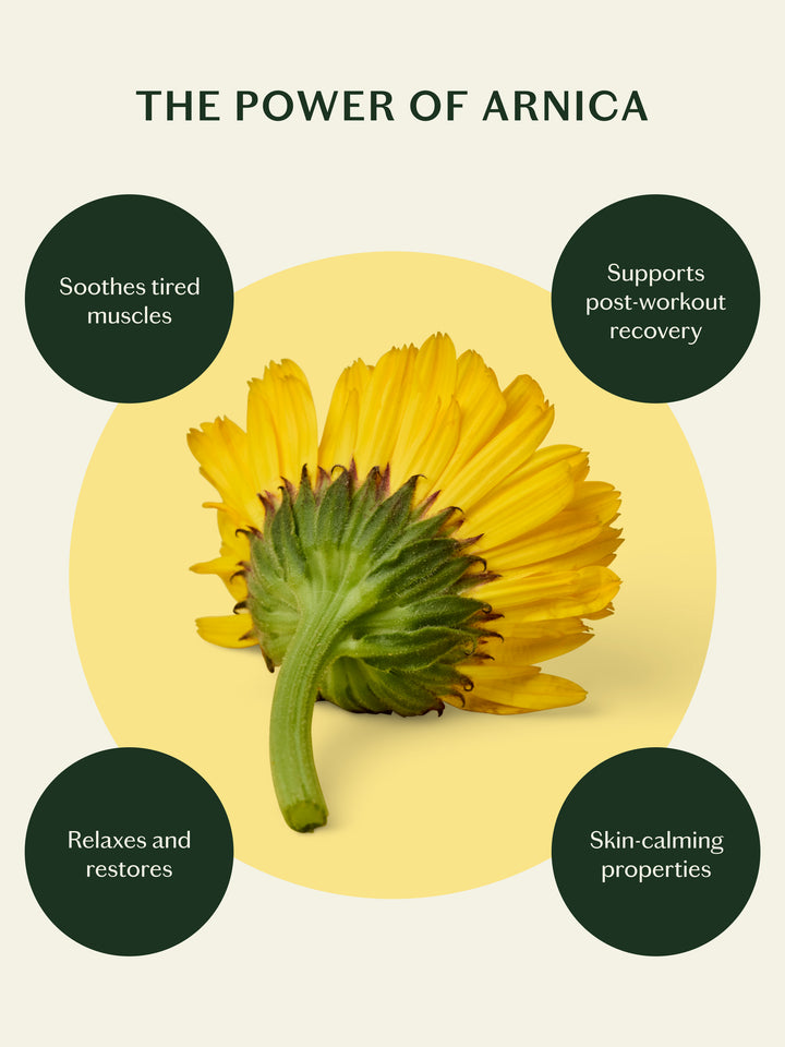 The power of arnica. Soothes tired muscles, supports post-workout recovery, relaxes and restores, and has skin-calming properties.