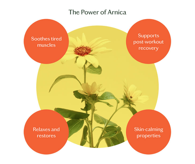 Recovery Stone LP Kate McLeod