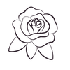 rose illustration